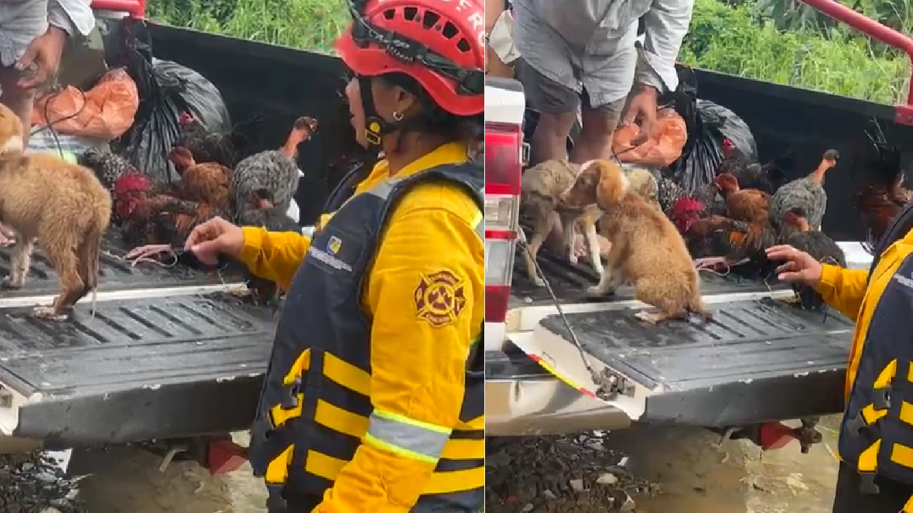 caucasia-alerta-roja-inundaciones-rio-cauca-barrios-municipio3