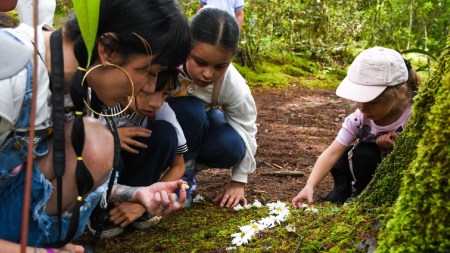 colegios-verdes-proyecto-alcaldia-impulsar-sostenibilidad-estudiantes2