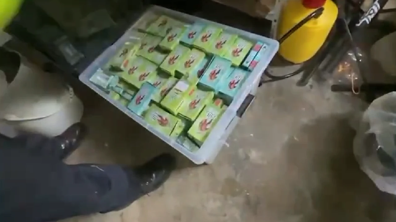 desmantelan-invernado-ilegal-marihuana-medellin-producir-vapeadores1