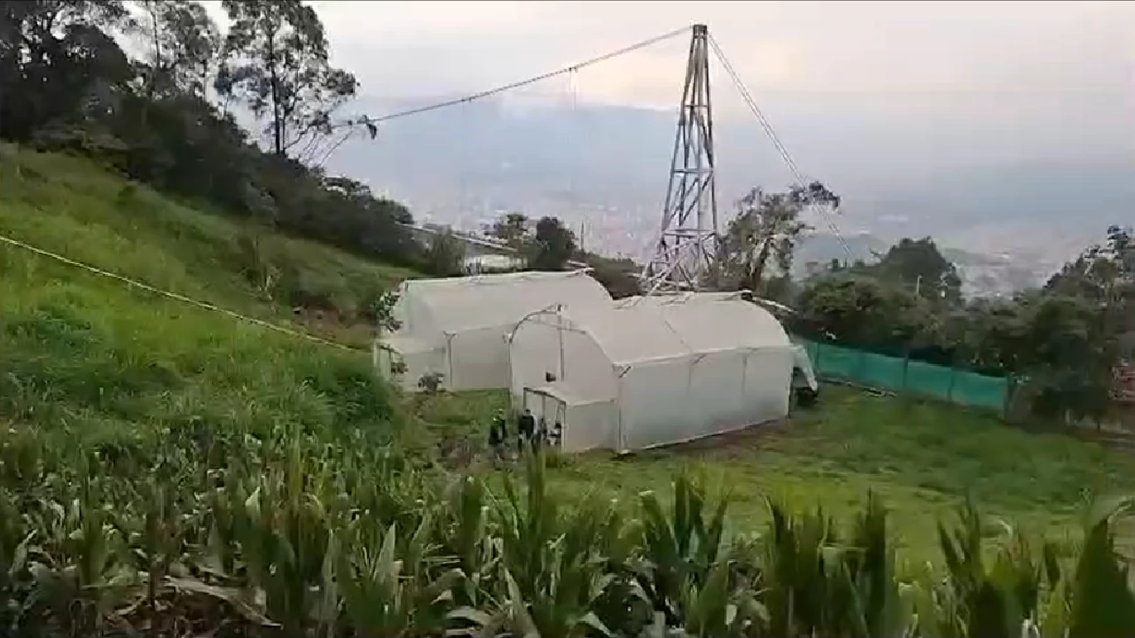 desmantelan-invernado-ilegal-marihuana-medellin-producir-vapeadores2