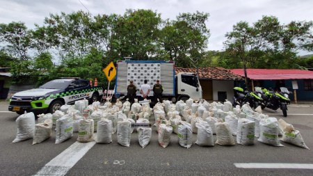 En Valle, conductor de furgón intentó pasar 716 kilos de marihuana escondidos en estopas como droga medicinal incautacion-kilos-marihuana-vallecauca-captura