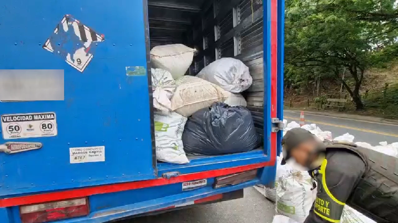 En Valle, conductor de furgón intentó pasar 716 kilos de marihuana escondidos en estopas como droga medicinal 1 incautacion-kilos-marihuana-vallecauca-captura1
