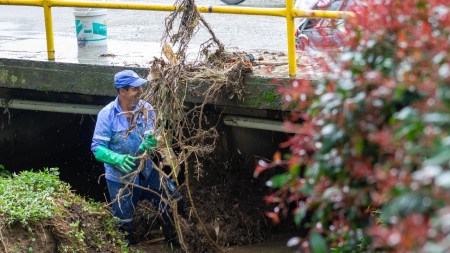 En el municipio de La Ceja intensifican labores de limpieza para prevenir riesgos por lluvias limpieza-puentes-zonas-laceja-evitar-emergencias-temporada-lluvias3