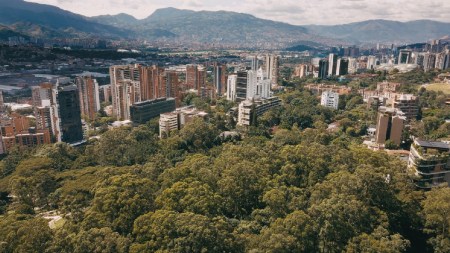 medellin-recupera-hectareas-verdes-promueve-biodiversidad1