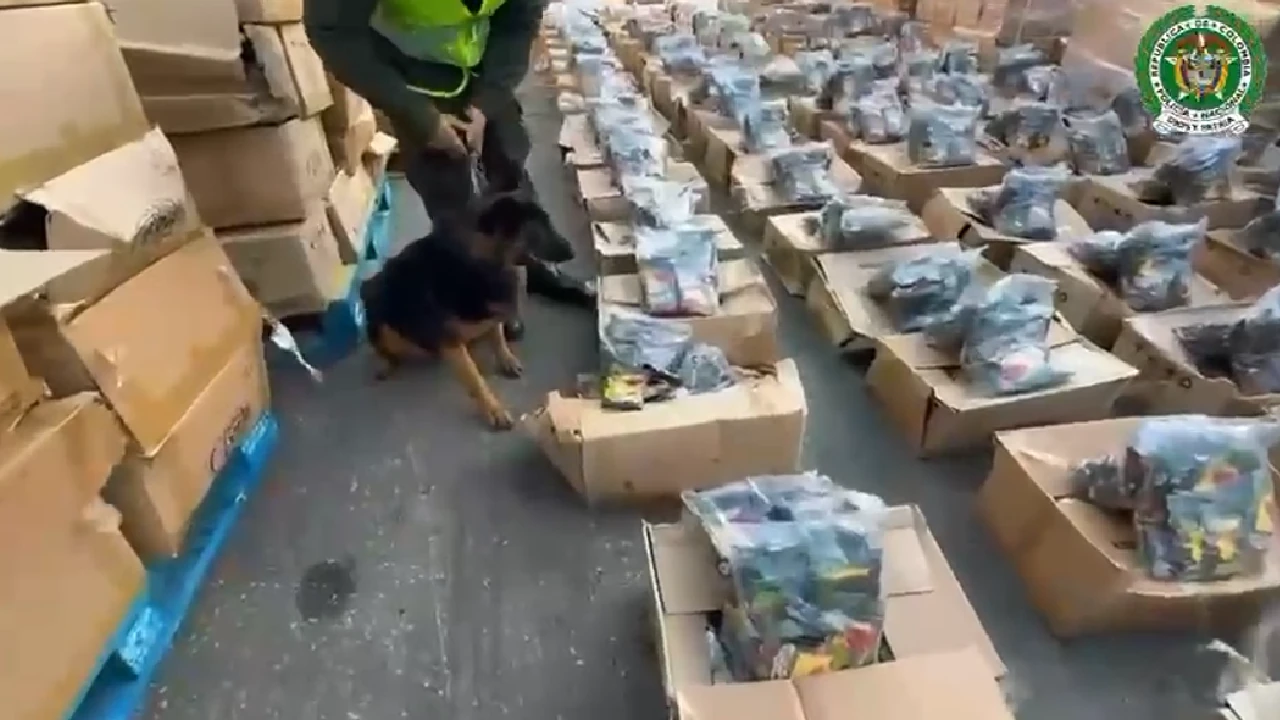 Mezclaron más de 1 tonelada de cocaína con condimentos para enviar a Europa, la carga fue descubierta en Santa Marta 1 mezcaln-cocaina-condimentos-enviar-polonia-cargamento-santamarta1