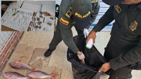 operativo-laceja-incuatacion-droga-pescados-malas-condiciones4
