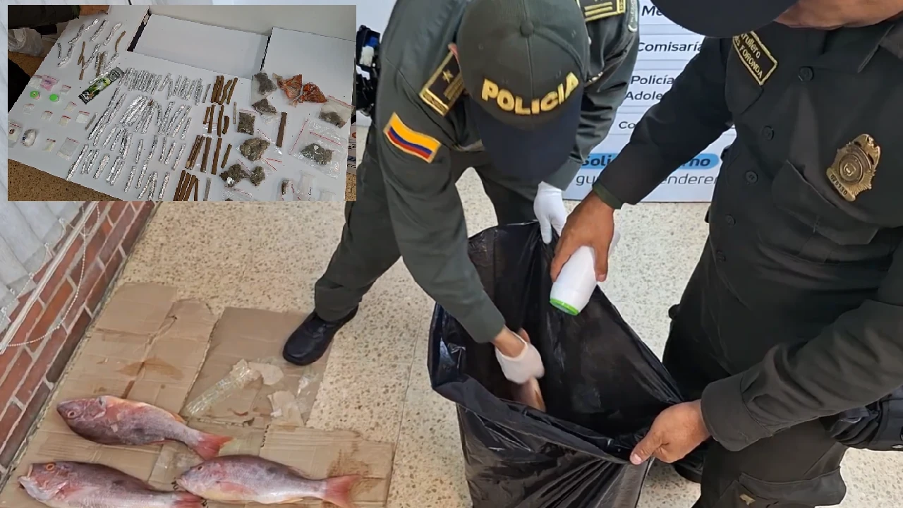 operativo-laceja-incuatacion-droga-pescados-malas-condiciones4