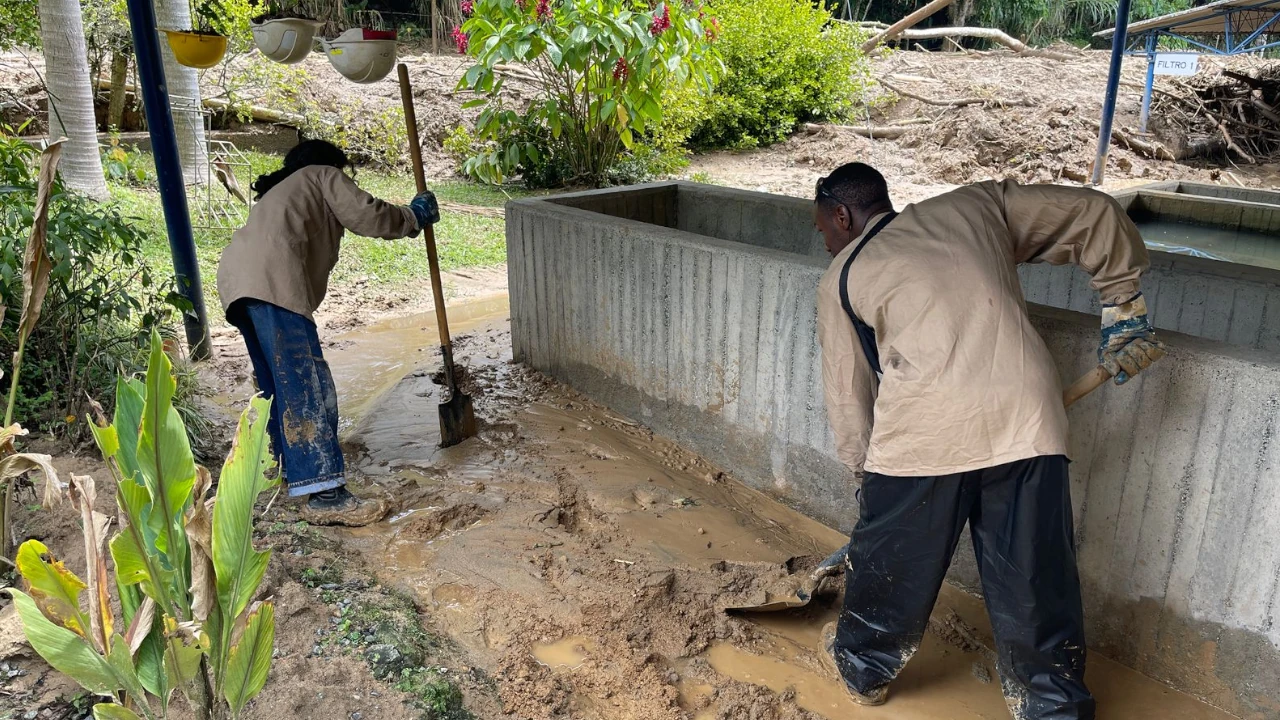 recoleccion-escombros-medellin-emergencias-temporada-lluvias3