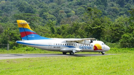 satena-alerta-presencia-fauna-personas-pistas-aeropuertos-pais2