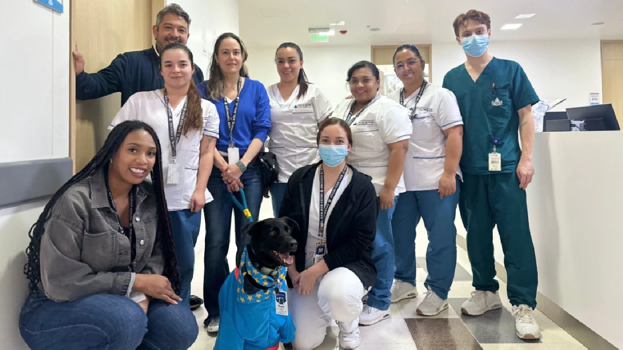 ¡Una dosis de amor! Simba, el perro de asistencia médica que enamora a los pacientes de clínica en La Ceja 5 simba-perro-asitencia-medica-clinica-laceja1