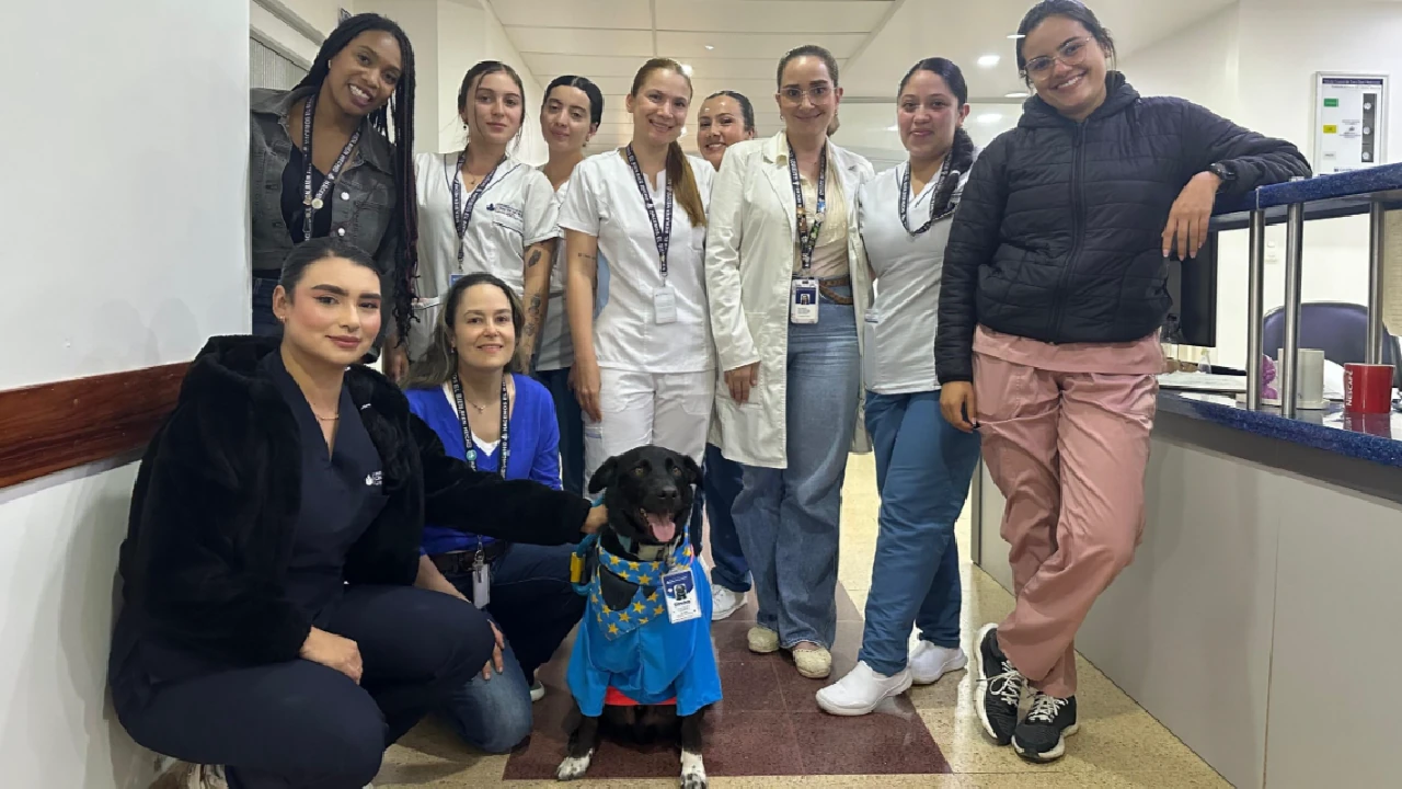 ¡Una dosis de amor! Simba, el perro de asistencia médica que enamora a los pacientes de clínica en La Ceja 1 simba-perro-asitencia-medica-clinica-laceja3