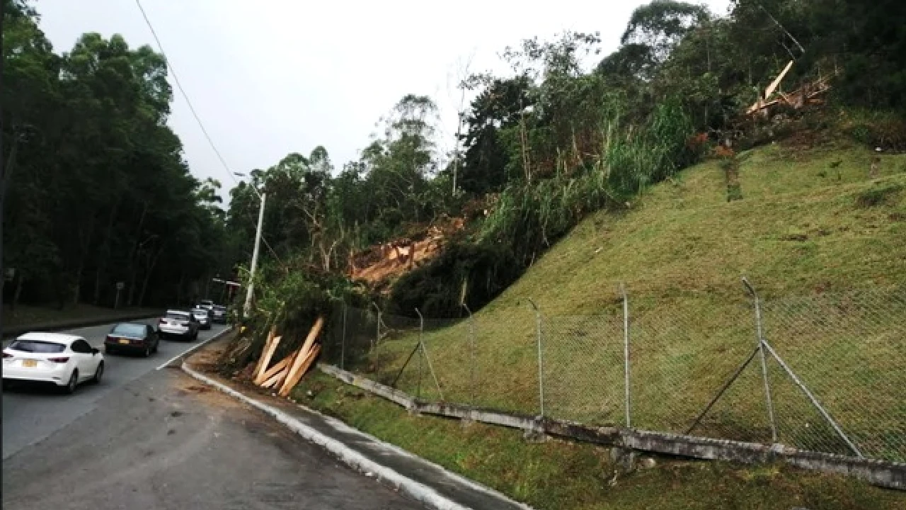 vigilancia-contraloria-medellin-emergencia-losbalsos-tala-arboles1