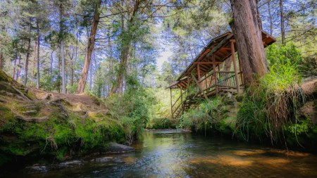 El Parque Arví se convierte en el plan ideal en este puente festivo para conectarse con Medellín y su entorno natural