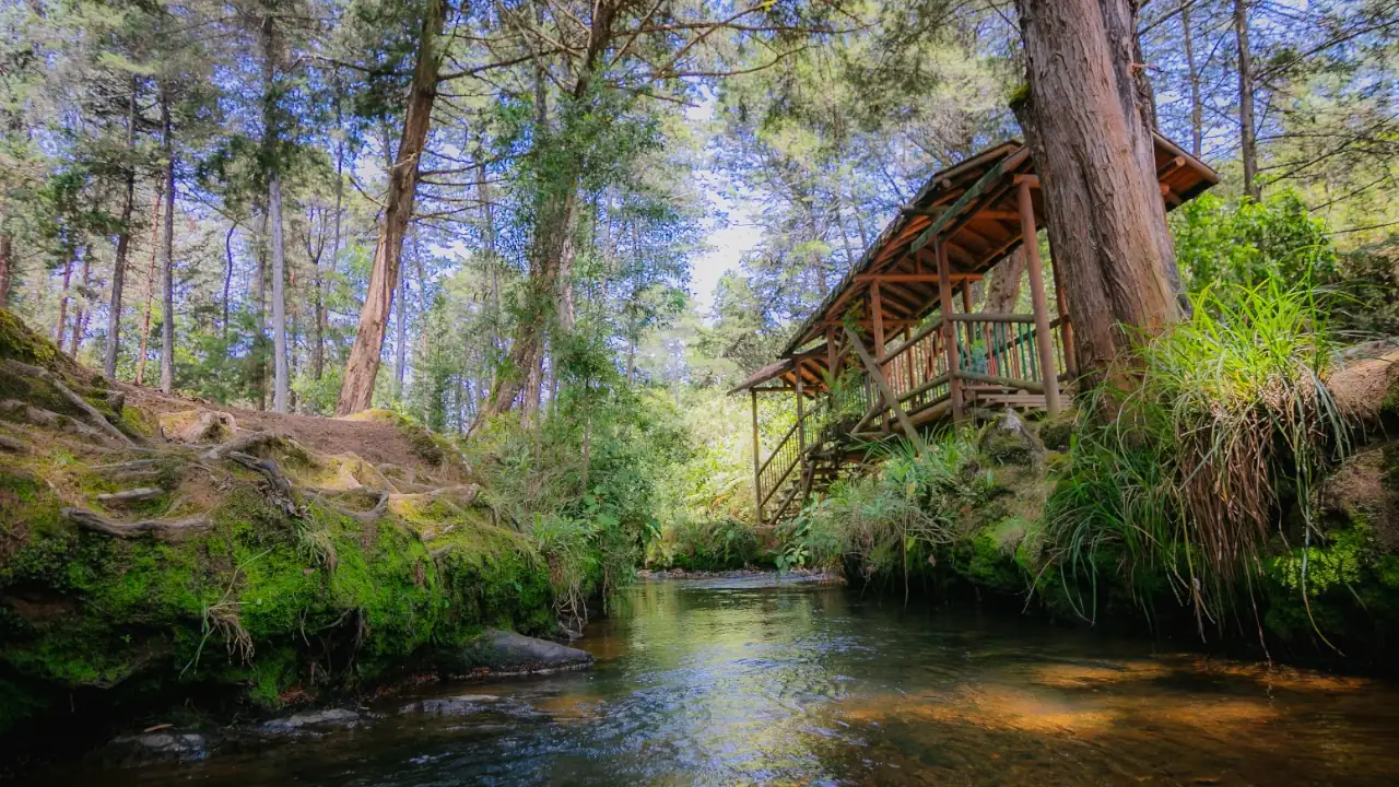 El Parque Arví se convierte en el plan ideal en este puente festivo para conectarse con Medellín y su entorno natural