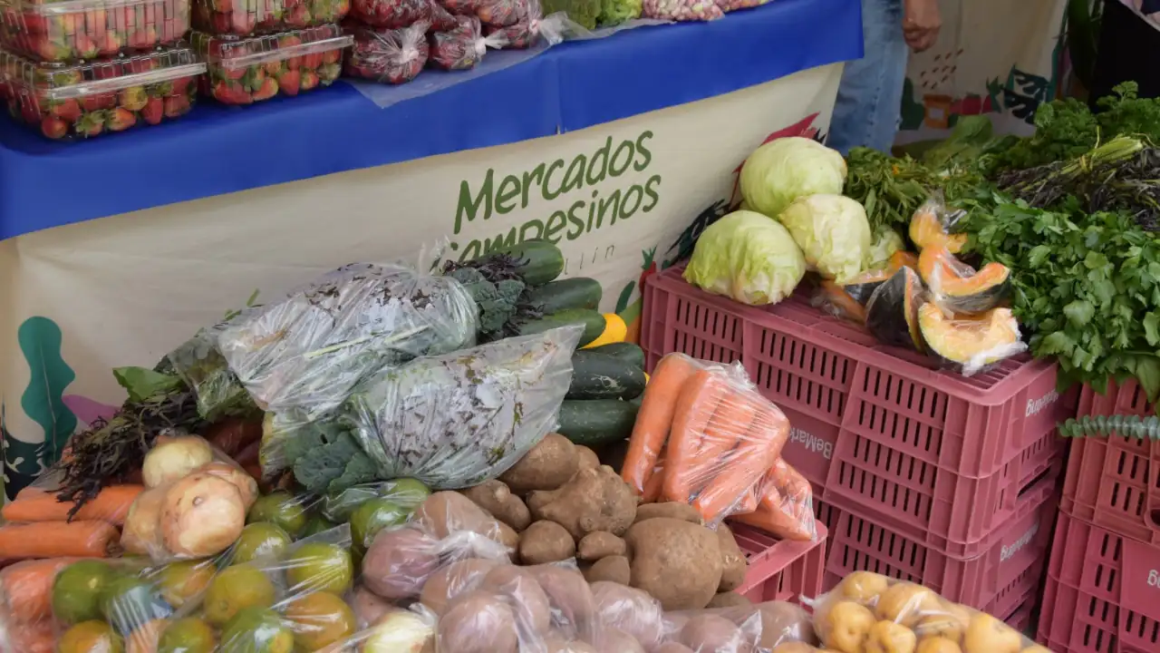 Medellín conmemora el Día Nacional del Campesino y promueve el desarrollo rural 2 Medellín conmemora el Día Nacional del Campesino y promueve el desarrollo rural