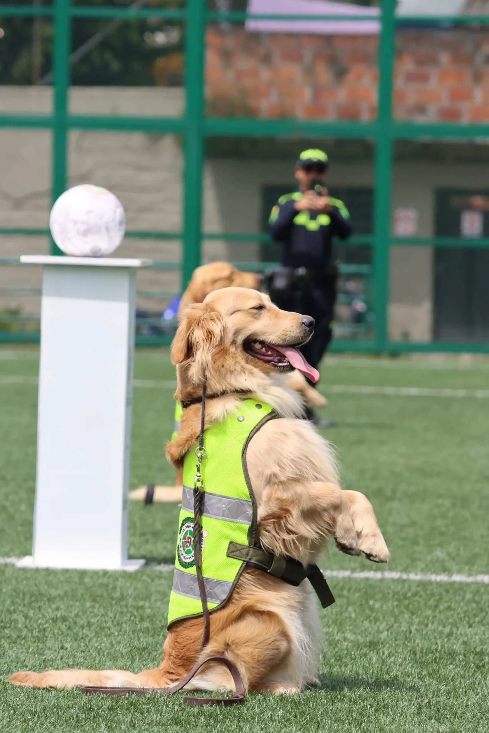 Arrancó la competencia municipal de Baby Fútbol en La Estrella 3 Arrancó la competencia municipal de Baby Fútbol en La Estrella