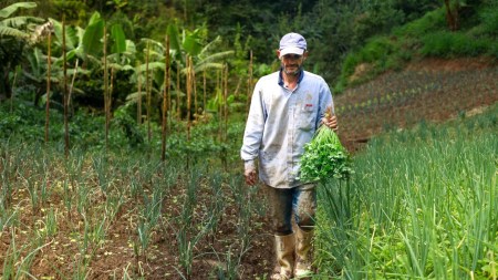Gobierno baja intereses de créditos rurales hasta 1%: así funcionarán los nuevos subsidios CAMPESINOS