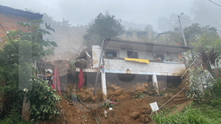 Emergencia-Carambolas-