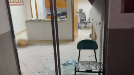 Estación-policía-Valdivia-perrito