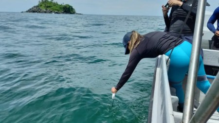 La UdeA investiga capa marina en el mar de Antioquia que influye en el calentamiento global