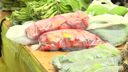 Mercados campesinos 5