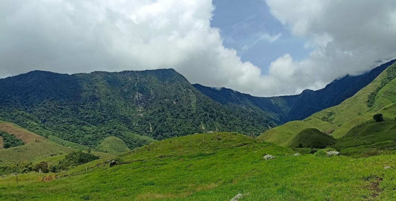 Antioquia y la conmemoración del día del medio ambiente