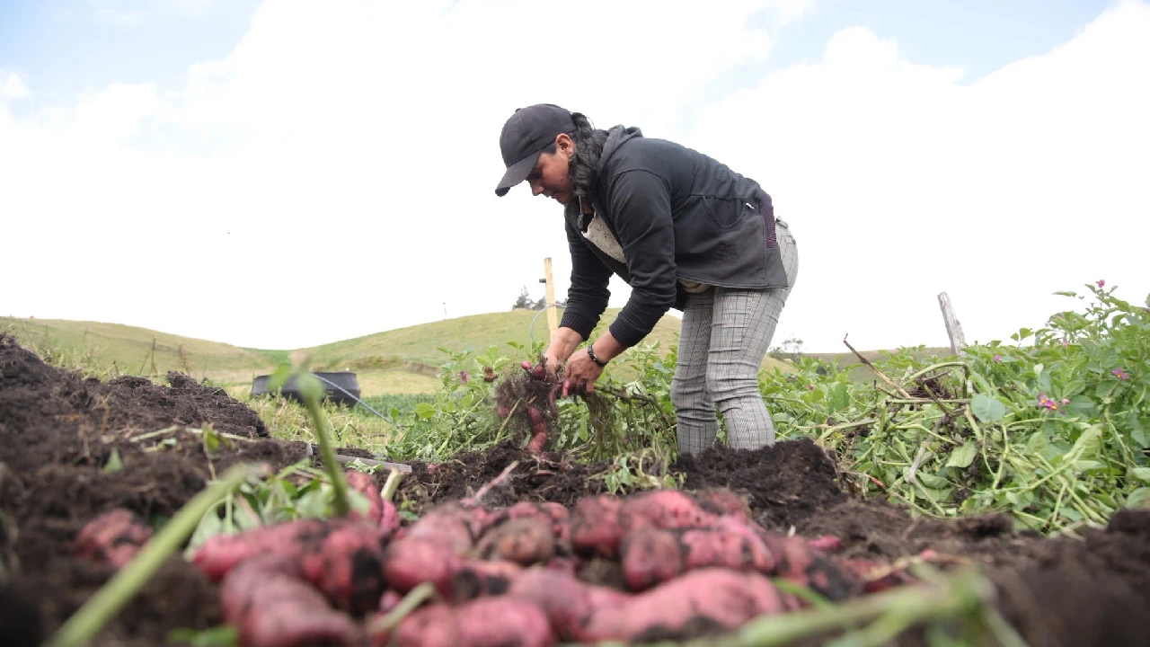 agro-impulsa-crecimeinto-economia-empleos-colombia