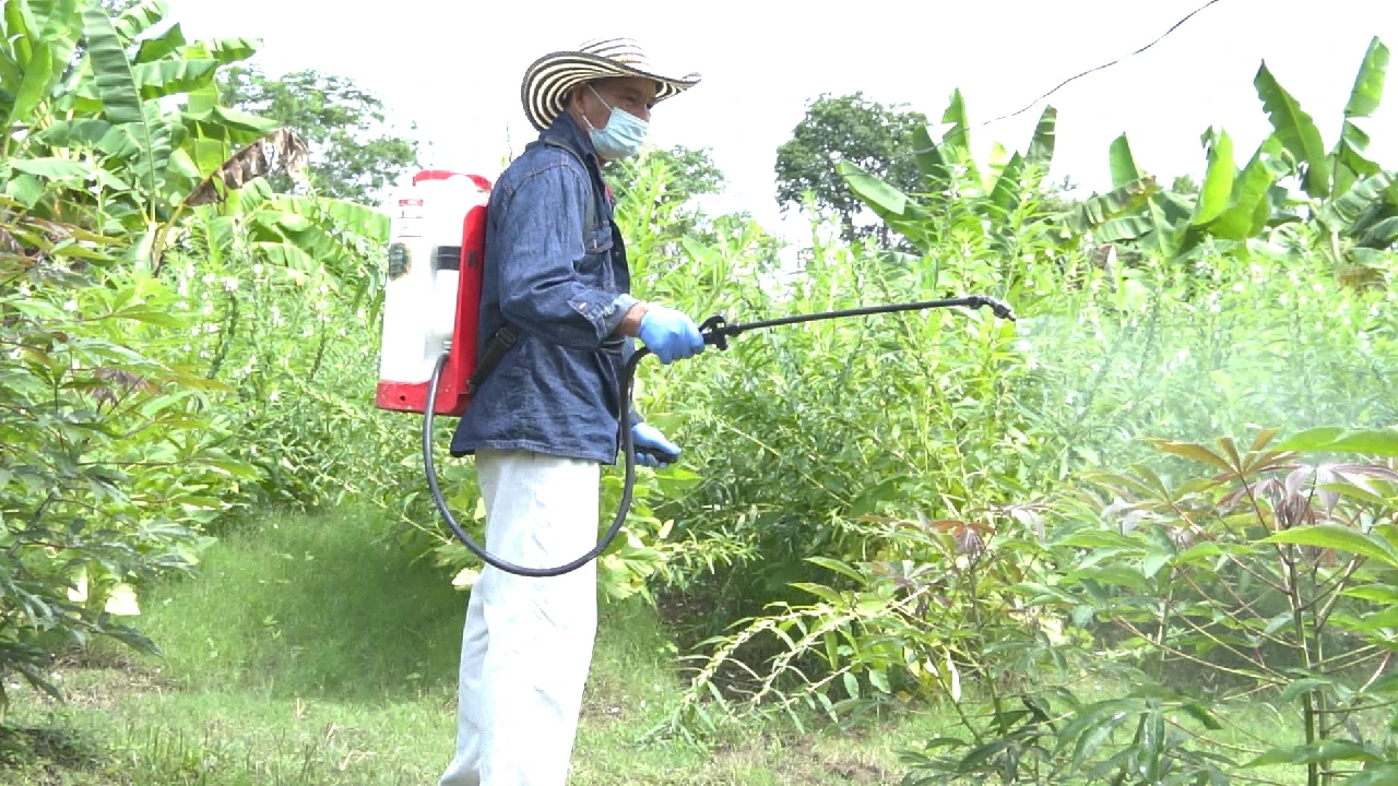 agro-impulsa-crecimeinto-economia-empleos-colombia1