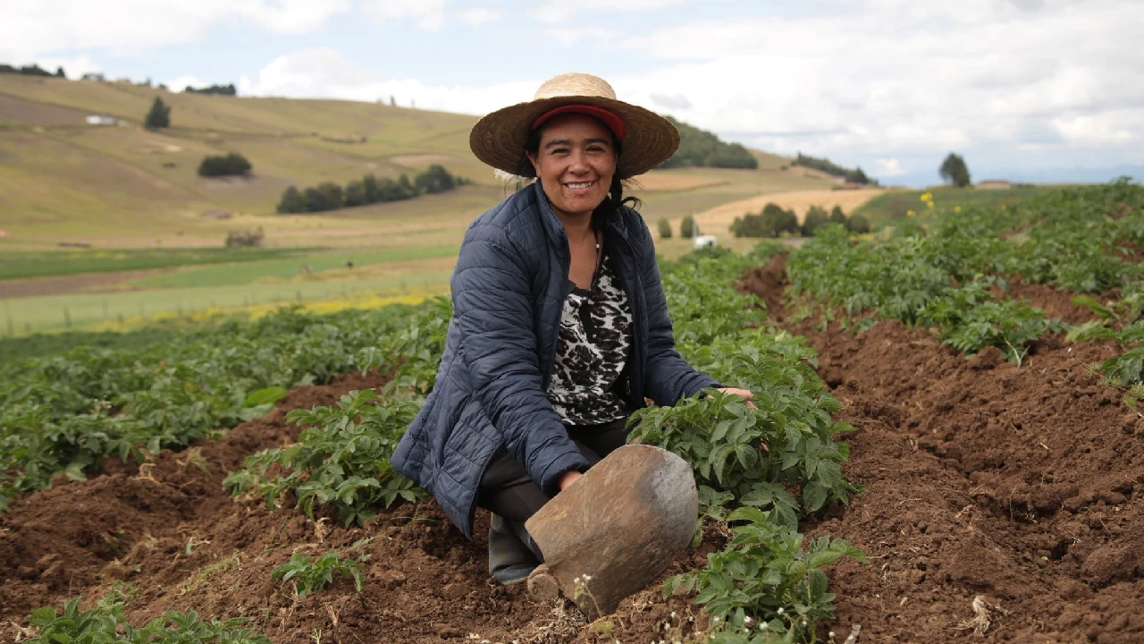 agro-impulsa-crecimeinto-economia-empleos-colombia3