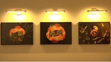 Arte y salud en un mismo lugar, la Torre Médica Oviedo inaugura una galería inspiradora en sus pasillos