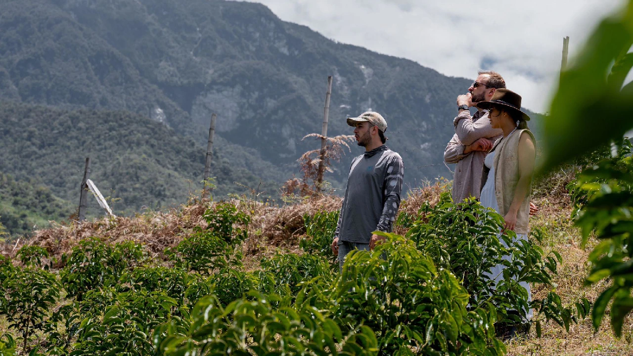 dia-internacional-microempresas-impulso-interactuar-rural