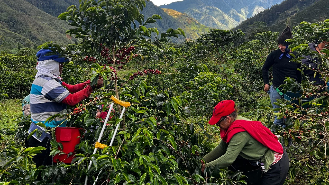 dia-internacional-microempresas-impulso-interactuar-rural2