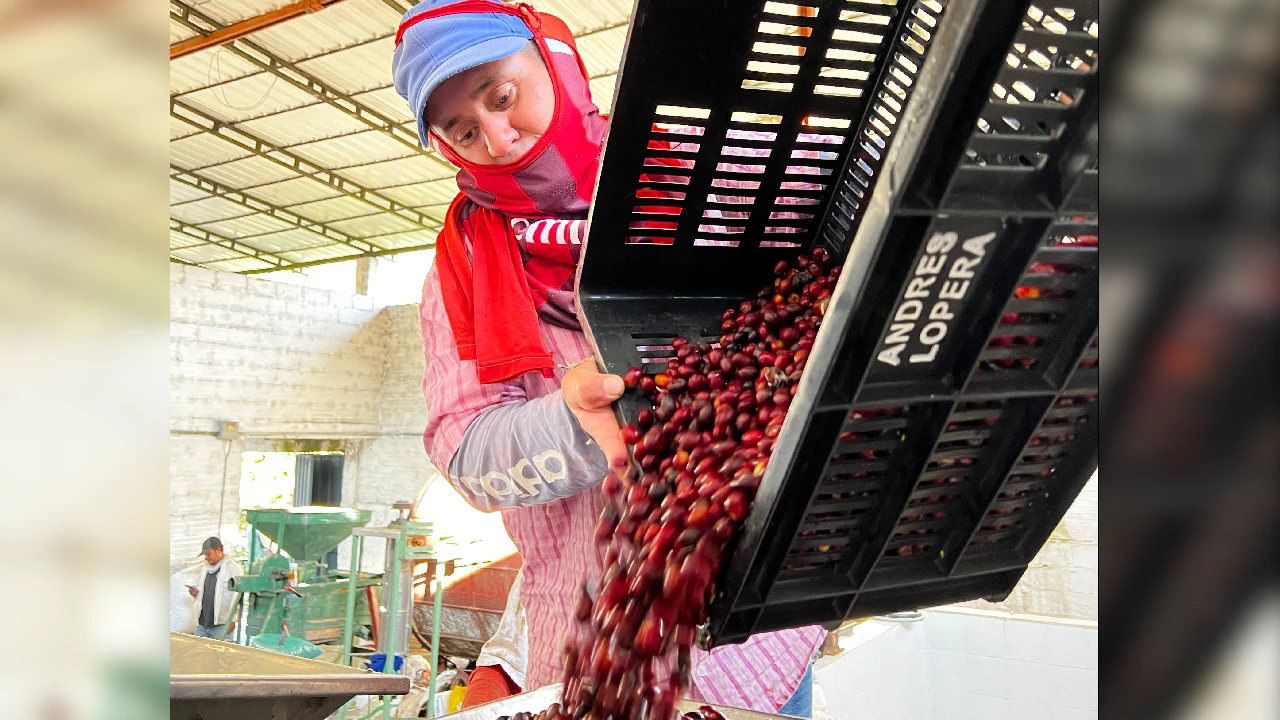 dia-internacional-microempresas-impulso-interactuar-rural3