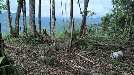 ejercito-destruye-artefactos-explosivos-anori1