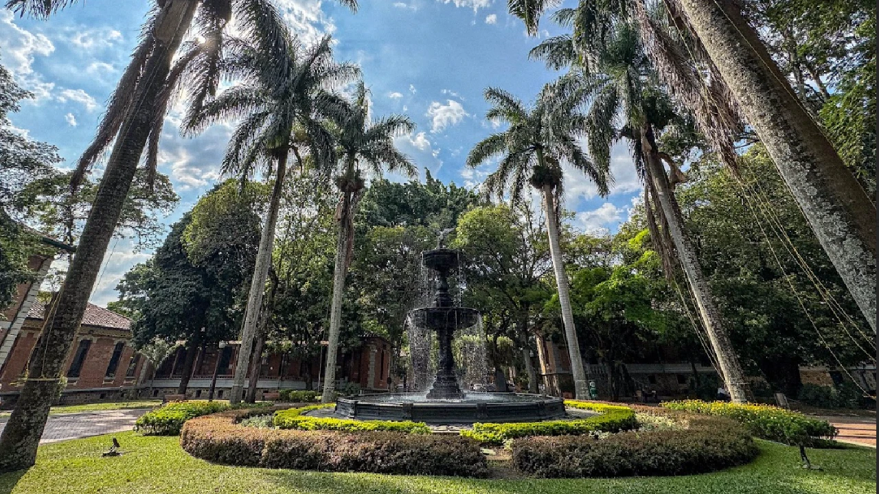 San Vicente Fundación: un hospital que sana con medicina y la naturaleza de su entorno 2 hospital-sanvicente-espacios-verdes-medicina-pacientes1