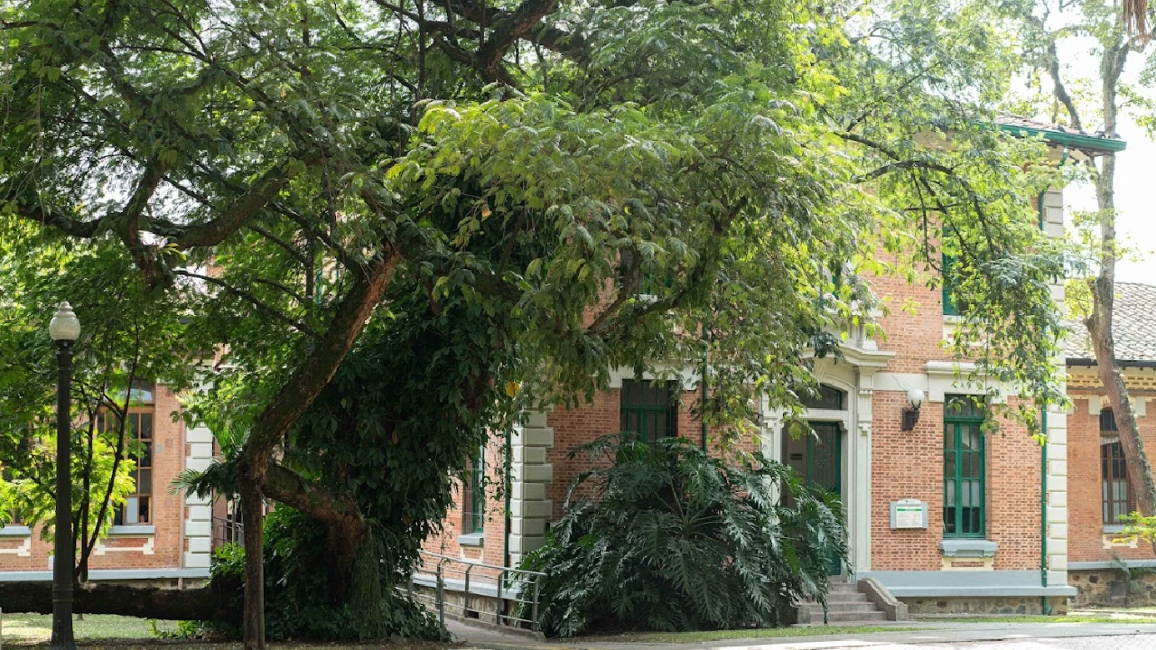 San Vicente Fundación: un hospital que sana con medicina y la naturaleza de su entorno 4 hospital-sanvicente-espacios-verdes-medicina-pacientes3