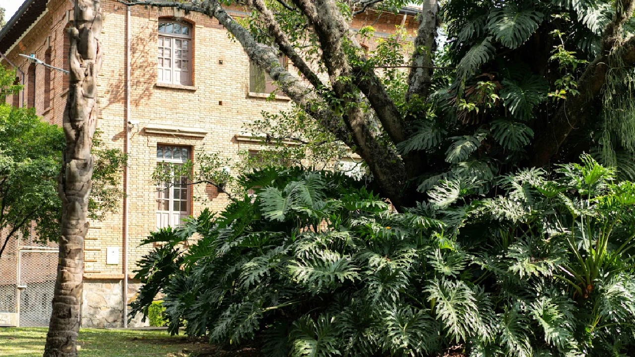 San Vicente Fundación: un hospital que sana con medicina y la naturaleza de su entorno 1 hospital-sanvicente-espacios-verdes-medicina-pacientes4