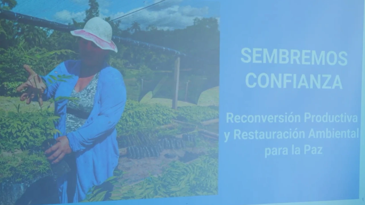 inicia-plan-restauracion-ecologica-territorios-jurisdiccion-corantioquia1