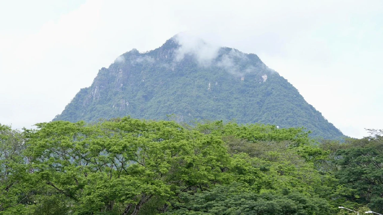 inicia-plan-restauracion-ecologica-territorios-jurisdiccion-corantioquia3