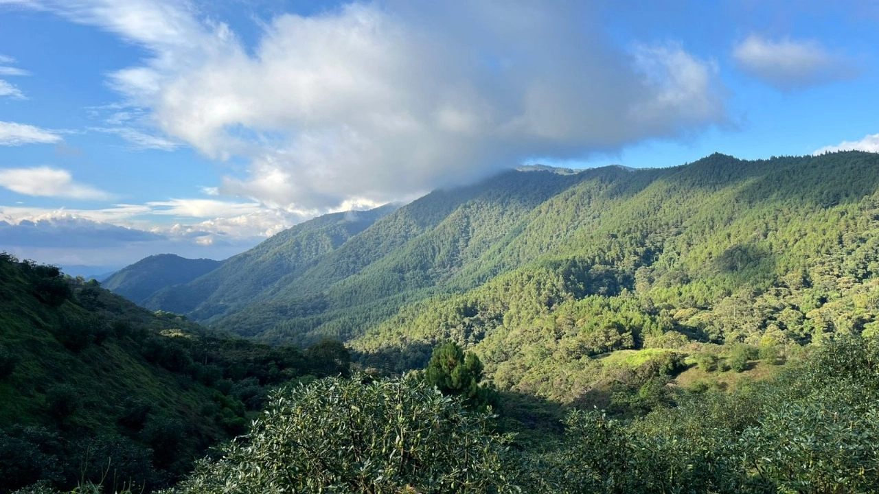 Antioquia y la conmemoración del día del medio ambiente