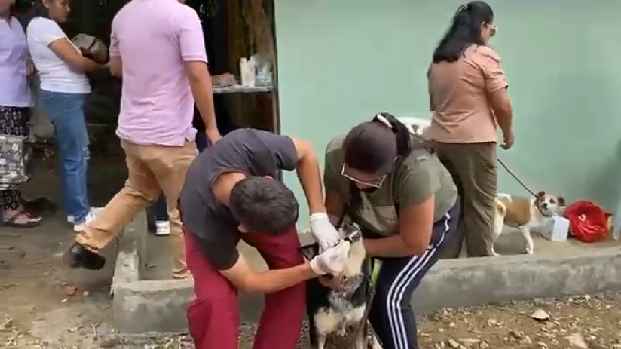 mejoras-centro-bienestar-animal-fredonia2