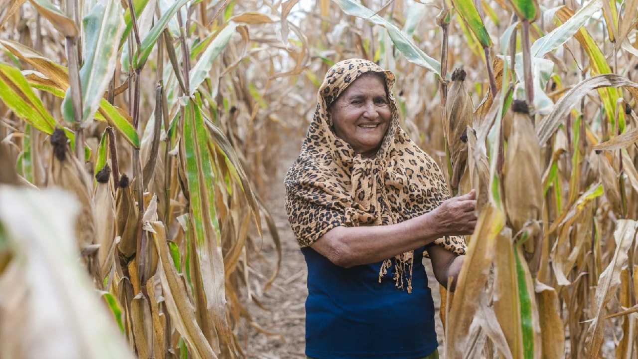 MinAgricultura lanza convocatorias para fortalecer la autonomía económica de mujeres campesinas del país 1 minagricultura-onversion-mujeres-campesinas-colombia