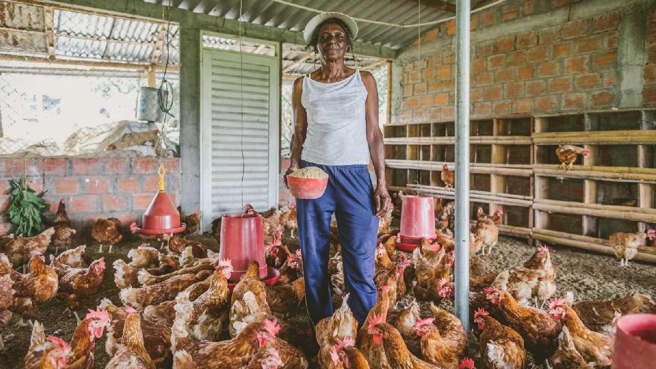 MinAgricultura lanza convocatorias para fortalecer la autonomía económica de mujeres campesinas del país 3 minagricultura-onversion-mujeres-campesinas-colombia2