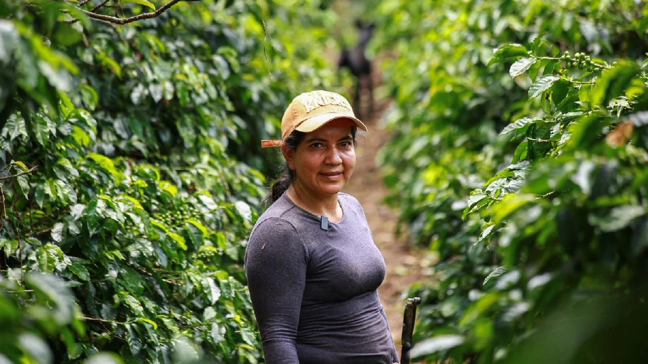MinAgricultura lanza convocatorias para fortalecer la autonomía económica de mujeres campesinas del país 2 minagricultura-onversion-mujeres-campesinas-colombia4