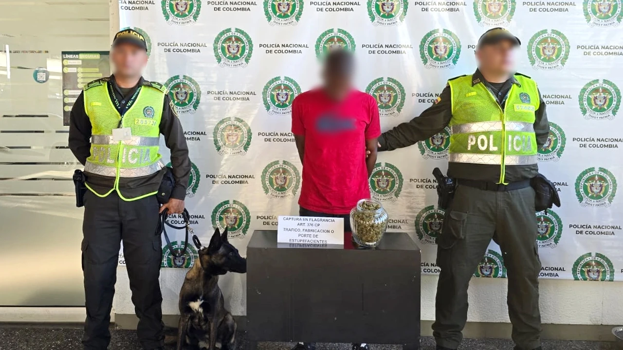 Fotos| En el Aeropuerto de Rionegro, nada entra ni sale sin que el canino Molly lo detecte: cayó nuevo cargamento de droga 3 molly-canino-antidrogar-aeropuerto-josemaria-rionegro-vuelve-descubrir-droga