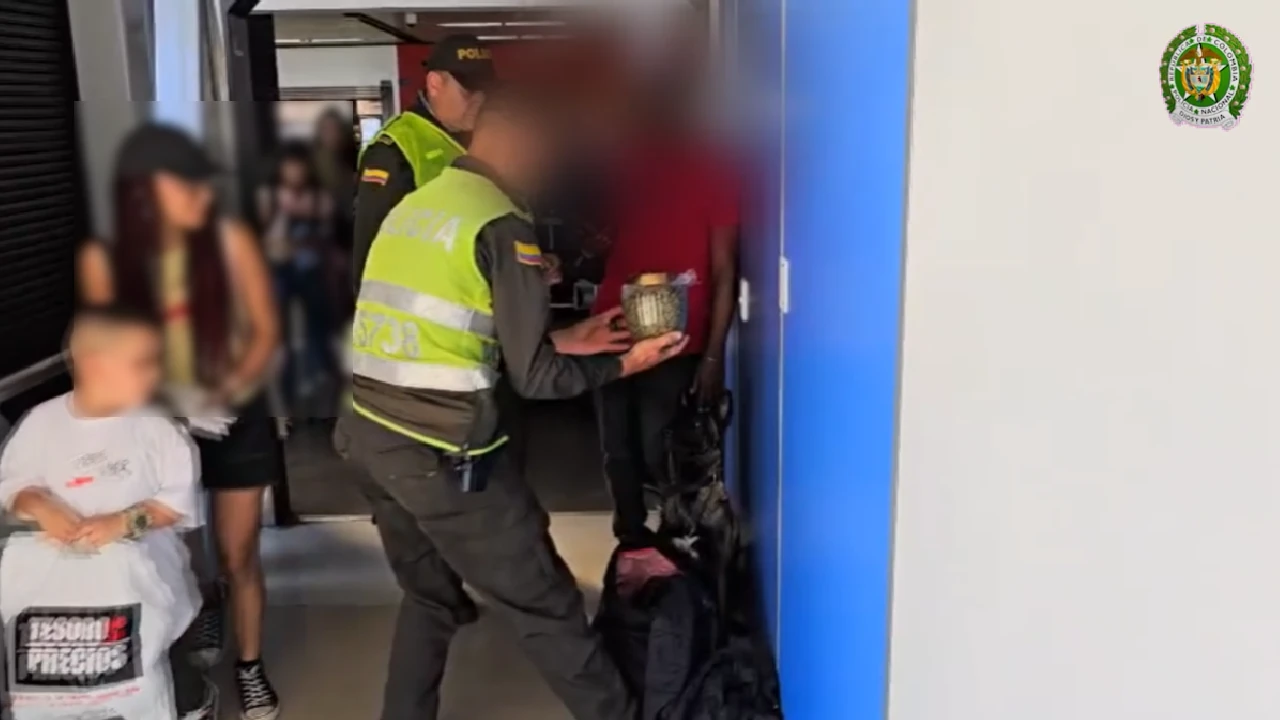 Fotos| En el Aeropuerto de Rionegro, nada entra ni sale sin que el canino Molly lo detecte: cayó nuevo cargamento de droga 2 molly-canino-antidrogar-aeropuerto-josemaria-rionegro-vuelve-descubrir-droga2