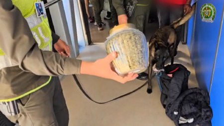 molly-canino-antidrogar-aeropuerto-josemaria-rionegro-vuelve-descubrir-droga3