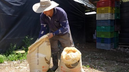 productores agropecuarios