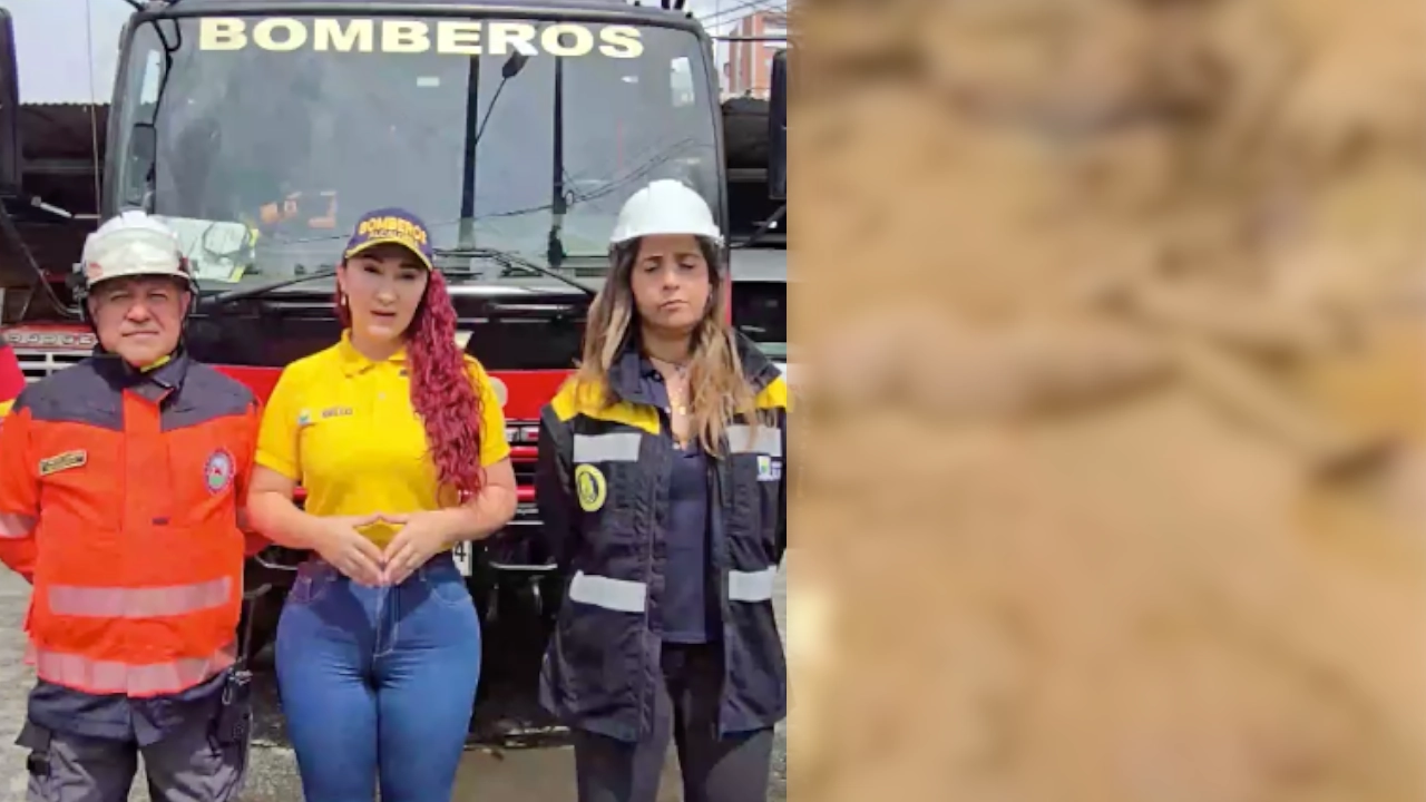 ultima hora bello 1