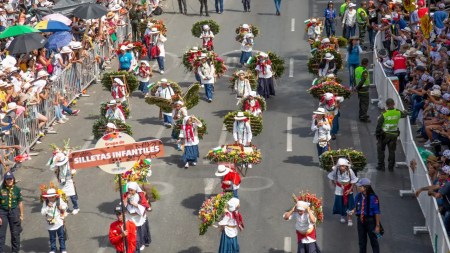 Consulta si fuiste seleccionado en el sorteo de entradas gratis para la Feria de las Flores en Medellín